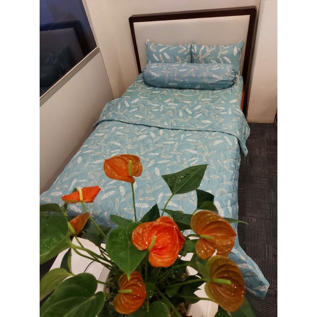 Vỏ Gối Riotex vải Cotton dùng cho gia đình, Kích Thước 40x60/ 50x70/ 35x105 cm | BigBuy360 - bigbuy360.vn