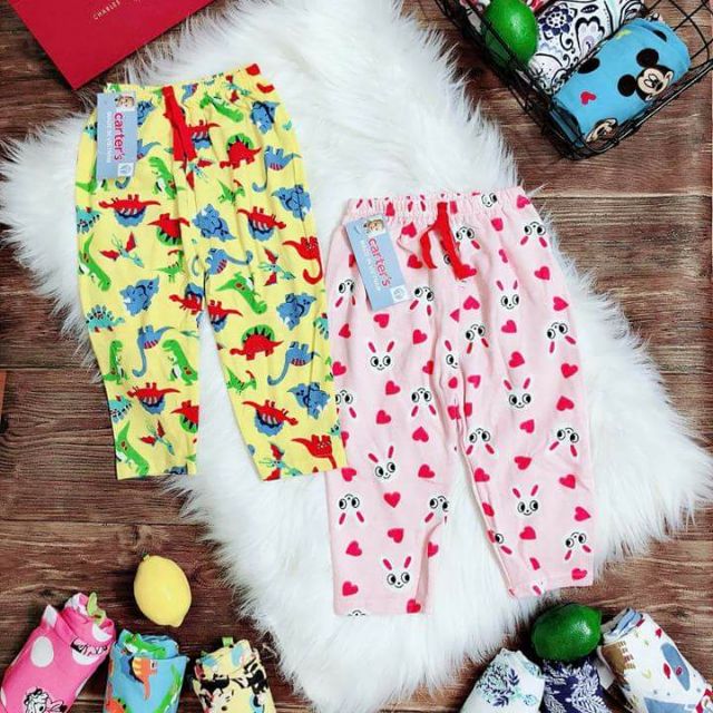 Set 10 quần thu đông carter bozip ( có quà)