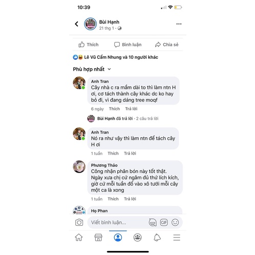 Phân chuối bón hoa Uyên Ngô