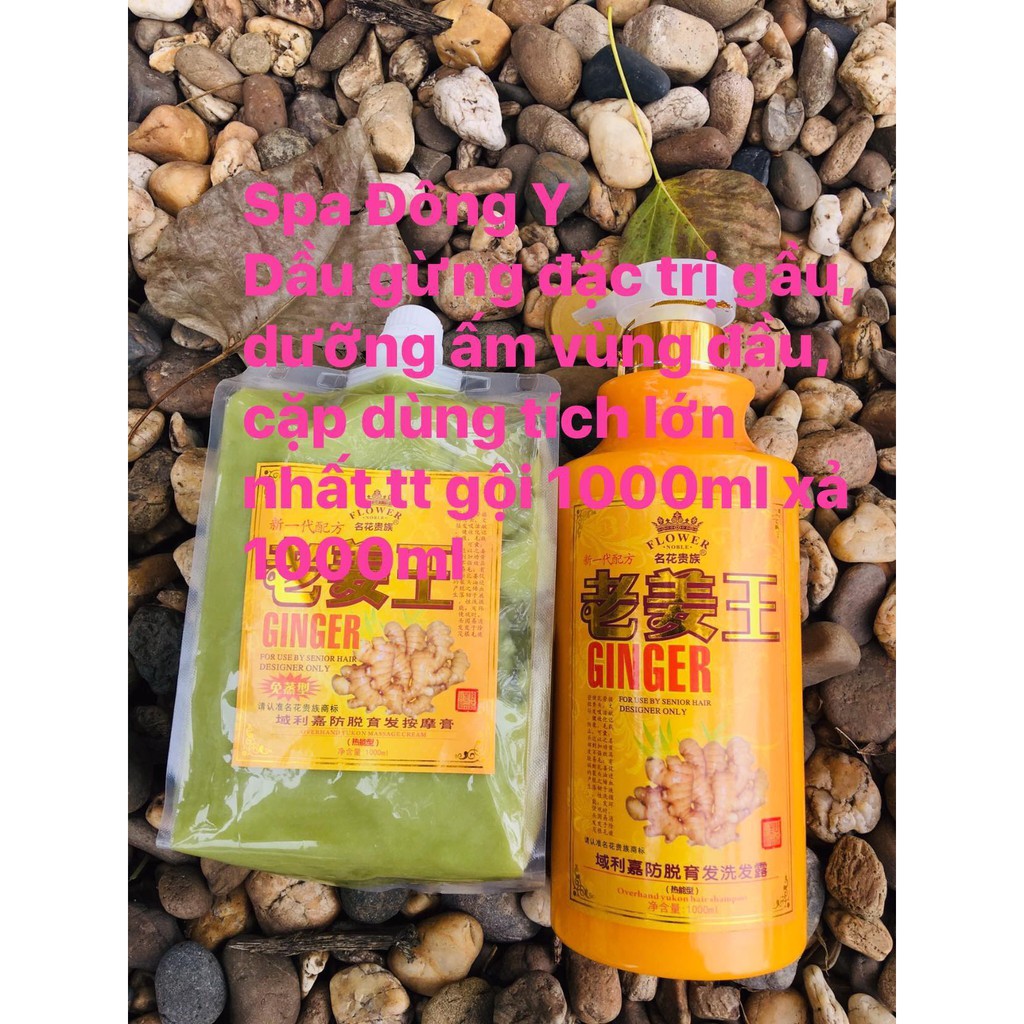 Dầu gội gừng ngăn rụng tóc[ Nóng\ Lạnh- 1000g]  giảm gầu lưu thông khí huyết cải thiện đau đầu mất ngủ... | BigBuy360 - bigbuy360.vn