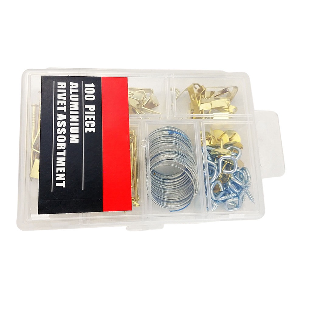 [Coco] 100pcs Picture Hanging Kit Wooden Frame Wall Mounting Hooks Nails Picture Hanging Wire Kit
