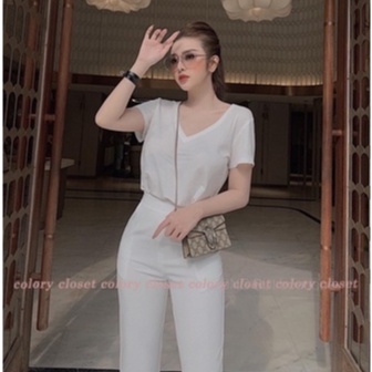 Áo thun giấy cổ tim basic