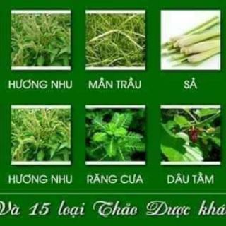 combo tui loc goi dau