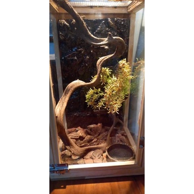 Chuồng nuôi bò sát gỗ ghép và mica KB9 D35 R25 C50cm