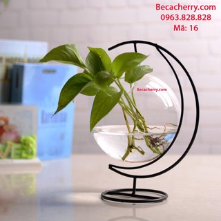 Bể Cá Mini Cung Trăng 16 Cỡ To ( Tặng kèm combo phụ kiện trang trí )