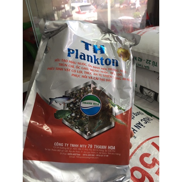 TH plantonk tạo màu trùng chỉ ốc gạo làm thức ăn cho tôm cá