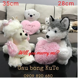 Gấu bông - Chó tiểu thư và Husky