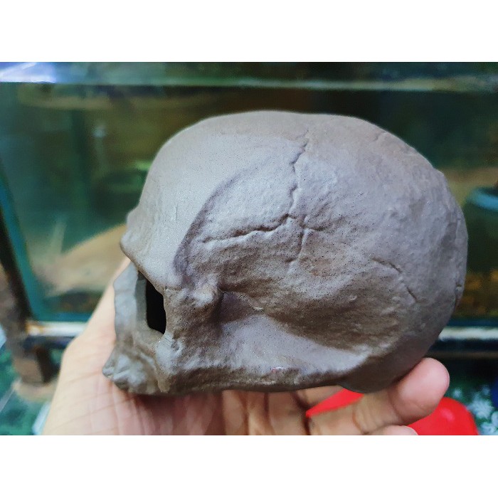 ĐẦU LÂU TRANG TRÍ HỒ CÁ NON BỘ CHO TÔM TÉP CHUI VÀO 10X9X7CM