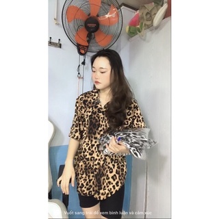 SET BEO QUẦN NGỐ