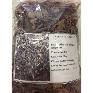 Cây chùm gửi - tầm gửi phơi khô combo 3 ký