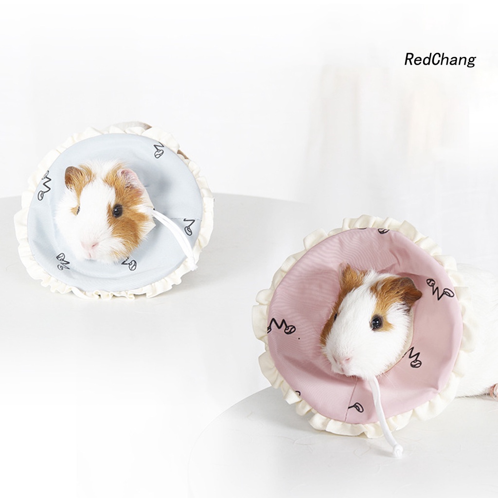 Vòng Cổ Bảo Vệ Chống Liếm Dành Cho Chuột Hamster