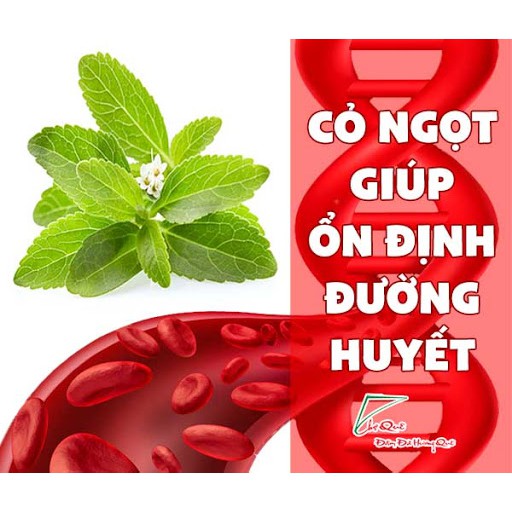 Cỏ ngọt sấy lạnh - Gói trà hoa khô - Hoa thảo mộc - Khối lượng 20 gram