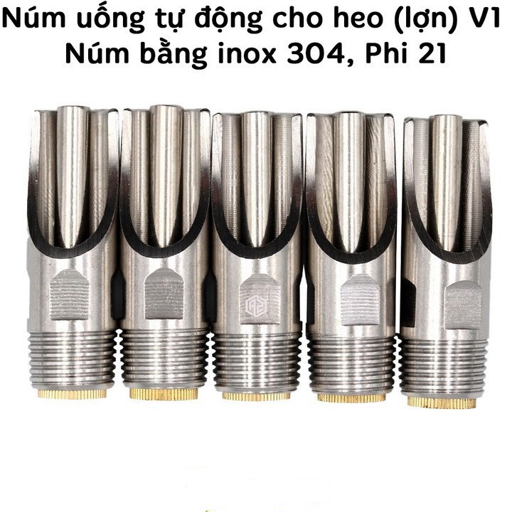 Combo 5 núm uống tự động cho heo