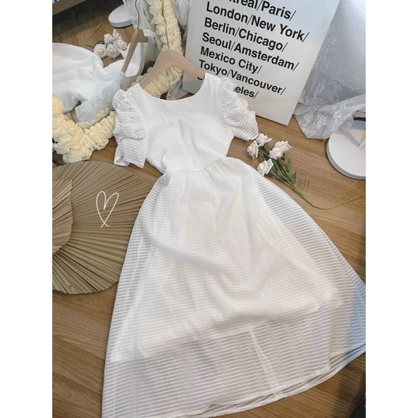 ĐẦM  TRẮNG TAY NHÚN