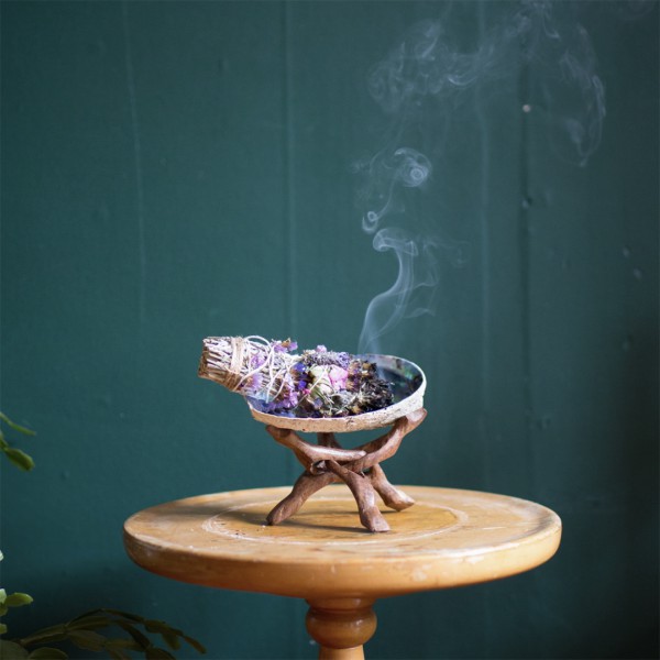 Vỏ sò/bào ngư đốt sage/ xô thơm lớn kèm đế | BigBuy360 - bigbuy360.vn