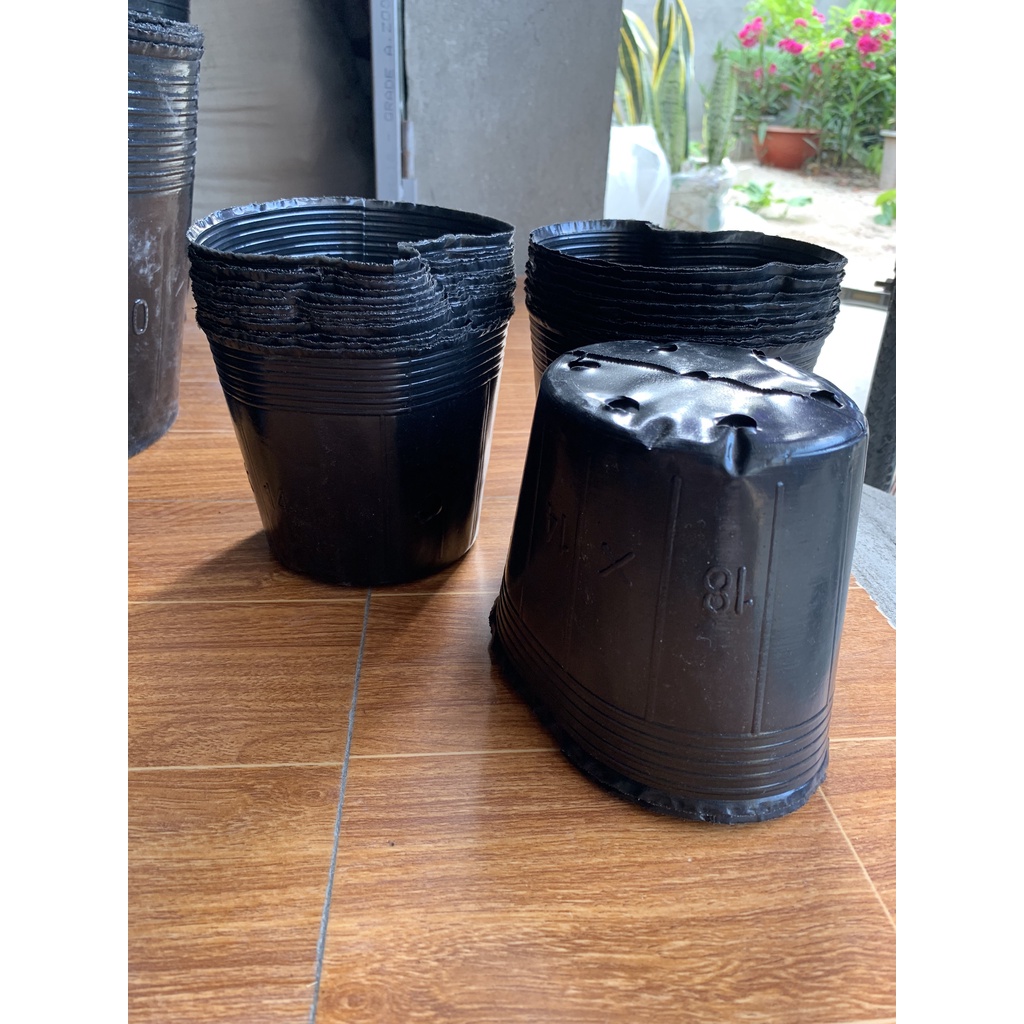 BẦU ƯƠM CÂY 18*14 DÀY VÀ MỎNG ( DỊCH TRUYỀN CHO CÂY, KÍCH RỄ , MẦM CÂY XANH LÁ, LƯỚI CHE NẮNG...)