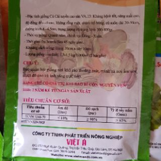 Hạt giống cải củ trắng (cải củ ăn củ) 20g