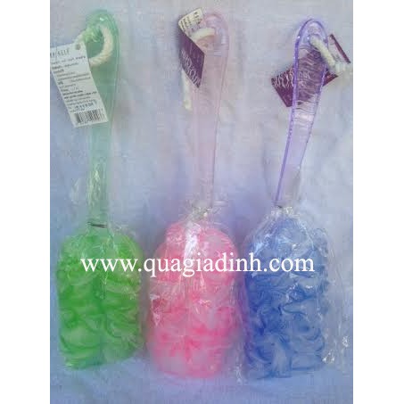 CÂY BÔNG TẮM THÁI