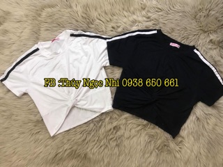Combo áo thun gân 15c
