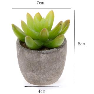 Set 3 Cây Sen Đá Giả Dùng Để Trang Trí