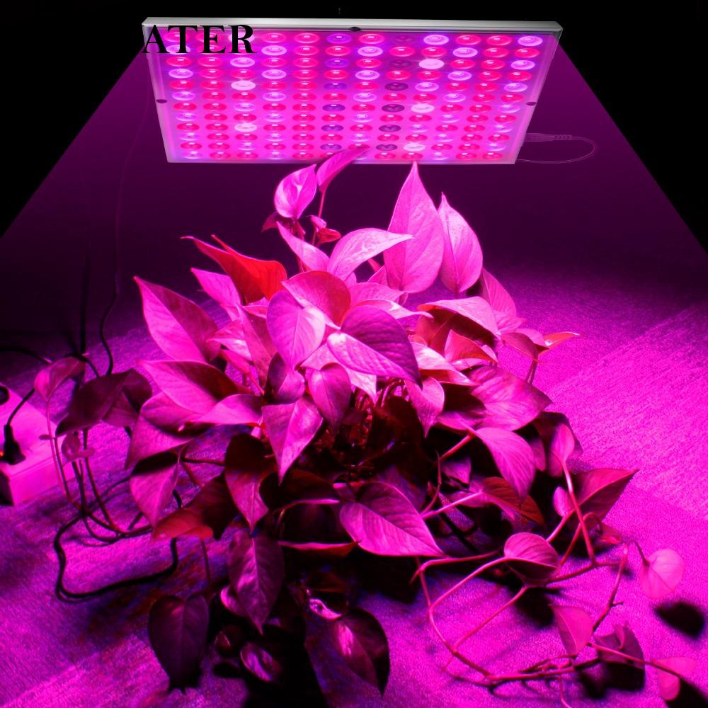 Đèn LED quang hợp trồng cây trong nhà 45W