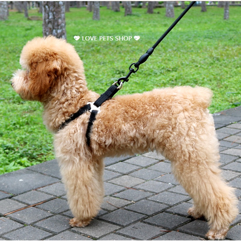ĐAI YẾM CHO CHÓ (KHÔNG BAO GỒM DÂY DẮT) - LOVE PETS SHOP