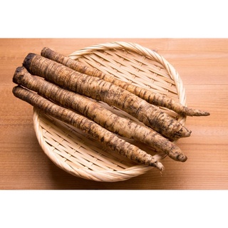 Củ ngưu báng 100g - thảo dược quý