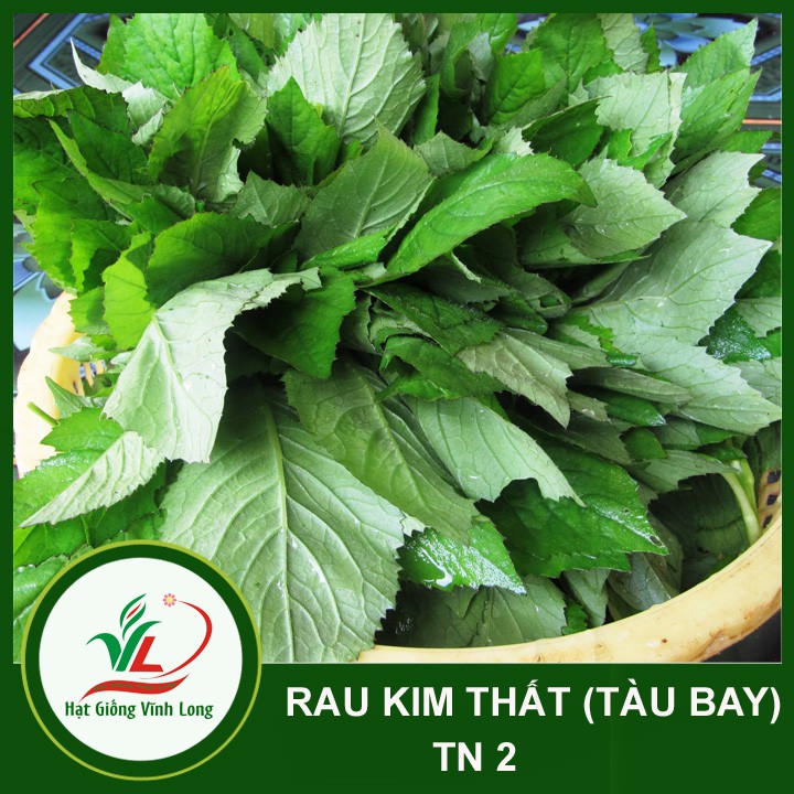 Hạt giống rau Kim Thất (tàu bay) - 1g