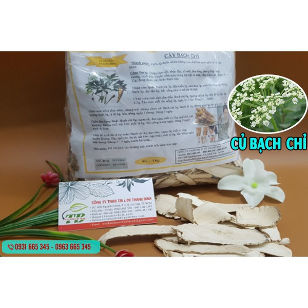 Củ Bạch Chỉ Nguyên Chất 500Gr__Hàng Loại 1 - Lương Y Thanh Bình