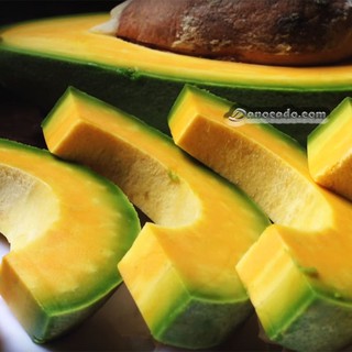 CÂY GIỐNG BƠ RUỘT ĐỎ