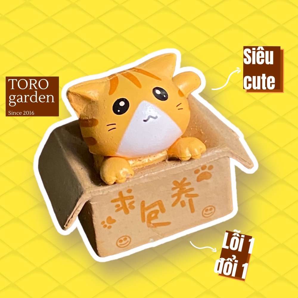 Phụ kiện mèo ngồi trong hộp Toro garden siêu cute