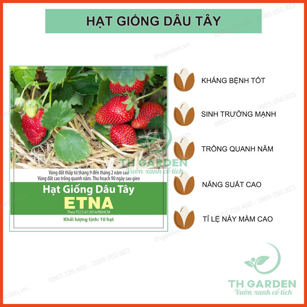 Hạt Giống Dâu Tây Đỏ Siêu Nảy Mầm - Quả Dâu Tây Siêu to, Chịu Nhiệt, Năng Suất Cao