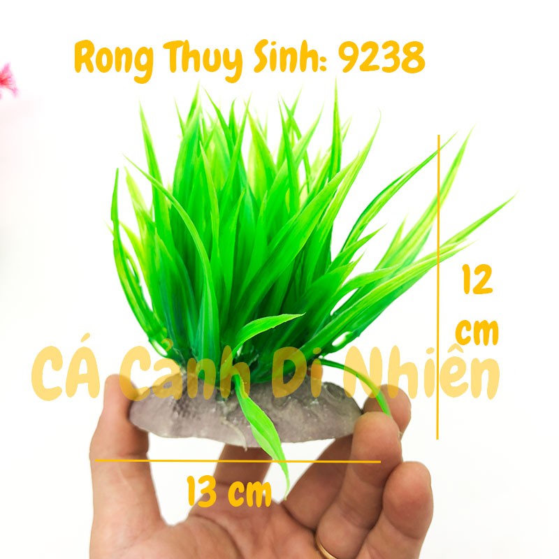 Mô hình cây rong Thủy Sinh trang trí hồ cá cảnh size 12CM