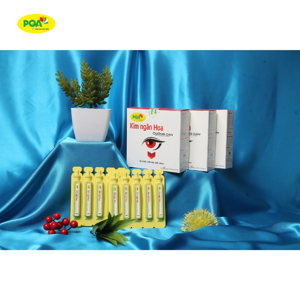 Kim Ngân Hoa PQA Hỗ Trợ Thanh Nhiệt, Giảm Triệu Chứng Đau Mắt Đỏ Viêm Kết Mạc Hộp 10 Ống