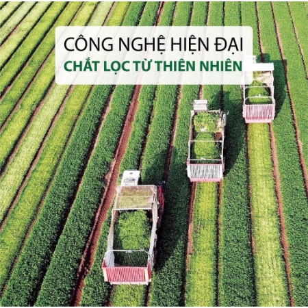 Mặt nạ nghệ tươi thiên nhiên dưỡng trắng da và mờ thâm 50G