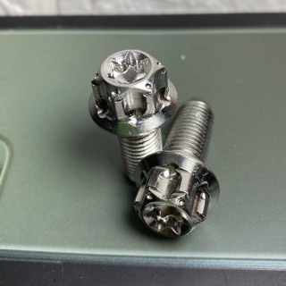 ốc Salaya inox 10mm gắn heo dầu