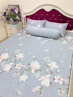 Bộ ga gối cottong lạnh