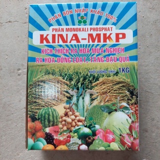 Phân bón lá mkp 0-52-34 chất kích thích ra hoa