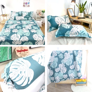 Combo 5 món chăn hè Cotton Poly ( 1 chăn hè, 1 ga, 2 vỏ gối nằm, 1 vỏ gối ôm) - Kích thước M2/M6/M8/2M2