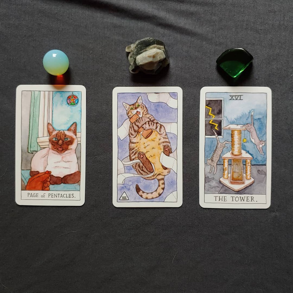 [Size Gốc] Bộ bài Bài Cat Tarot G4