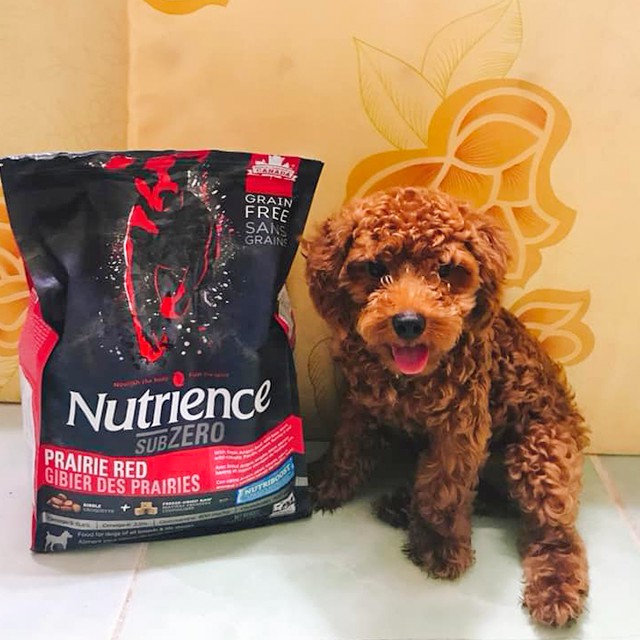 Thức Ăn Cho Chó Hạt Lạp Xưởng Nutrience Subzero Bao 5kg - Thịt Bò, Cá Hồi, Cá Trích, Cá Tuyết, Rau Củ Quả & Trái Cây