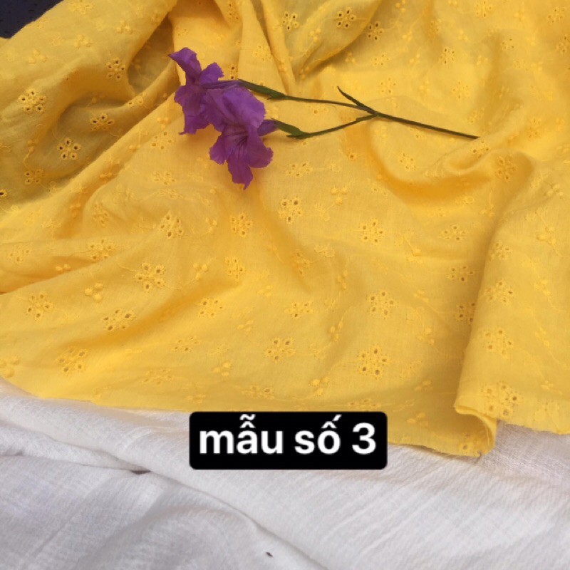 thô boi thêu đục lỗ