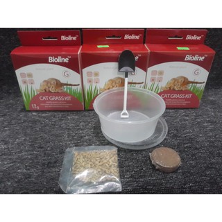 Bộ Kit Tự Trồng Cỏ Mèo - Bioline