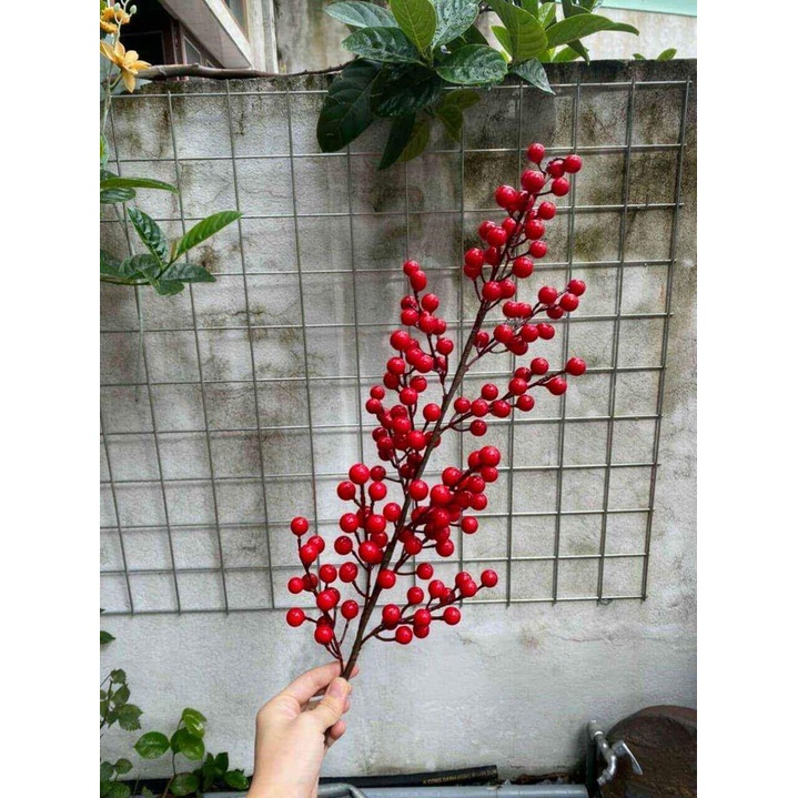 Cành đào đông đỏ cherry mini trang trí nhà cửa đạo cụ chụp ảnh tinh tế trang trọng hút tài lộc cành 12 nhánh