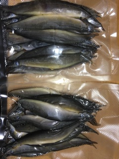 Khô cá chạch 500g /230k