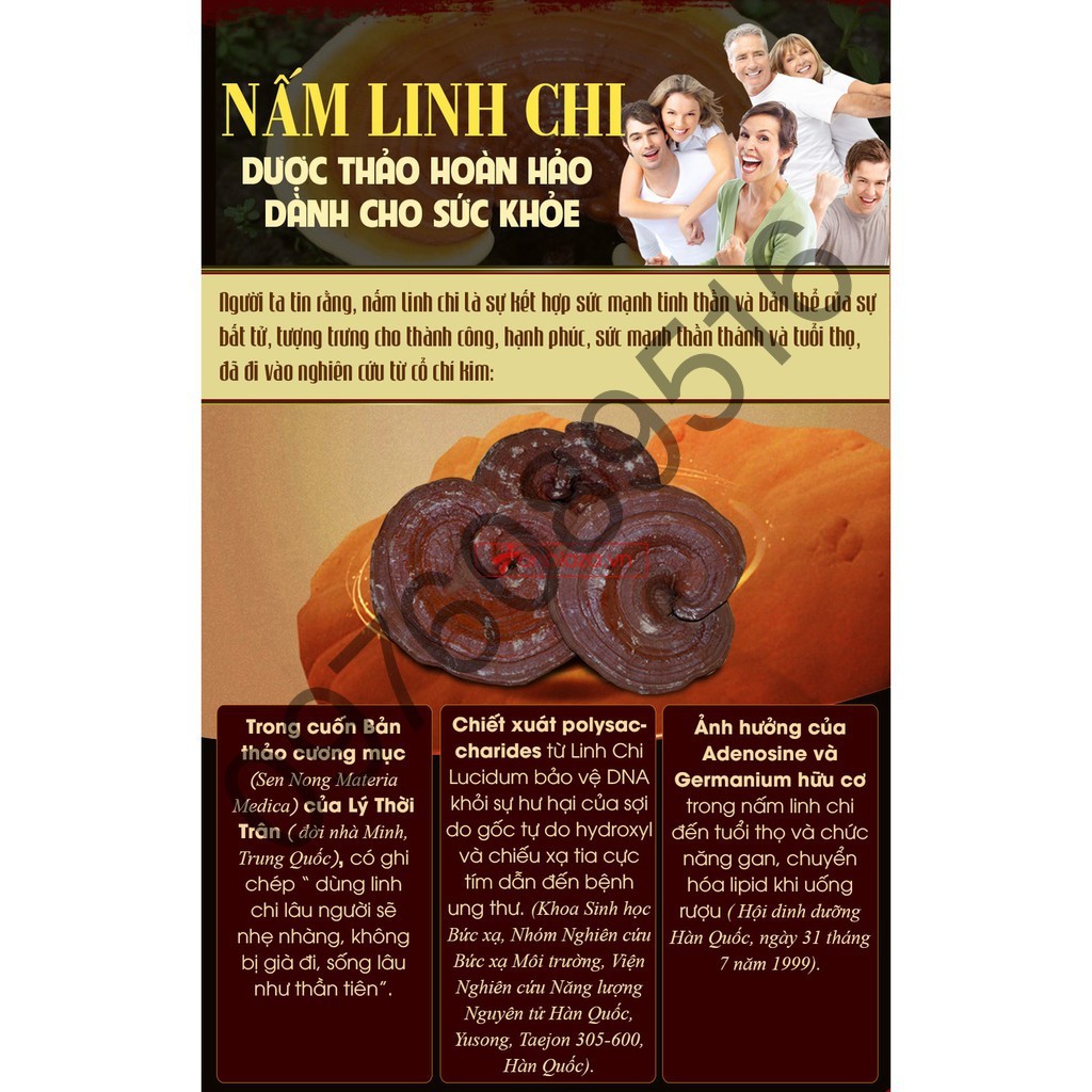 [HÀNG MỚI VỀ] Nấm Linh Chi Thái Lát Hàn Quốc, Túi 0,5kg [DATE 2023]