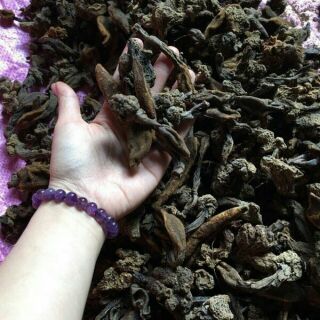 1kg nấm ngọc cẩu khô vẫn còn nguyên búp