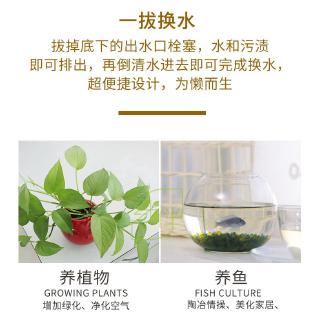Bể Cá Cảnh Mini Tự Thay Nước Tiện Lợi