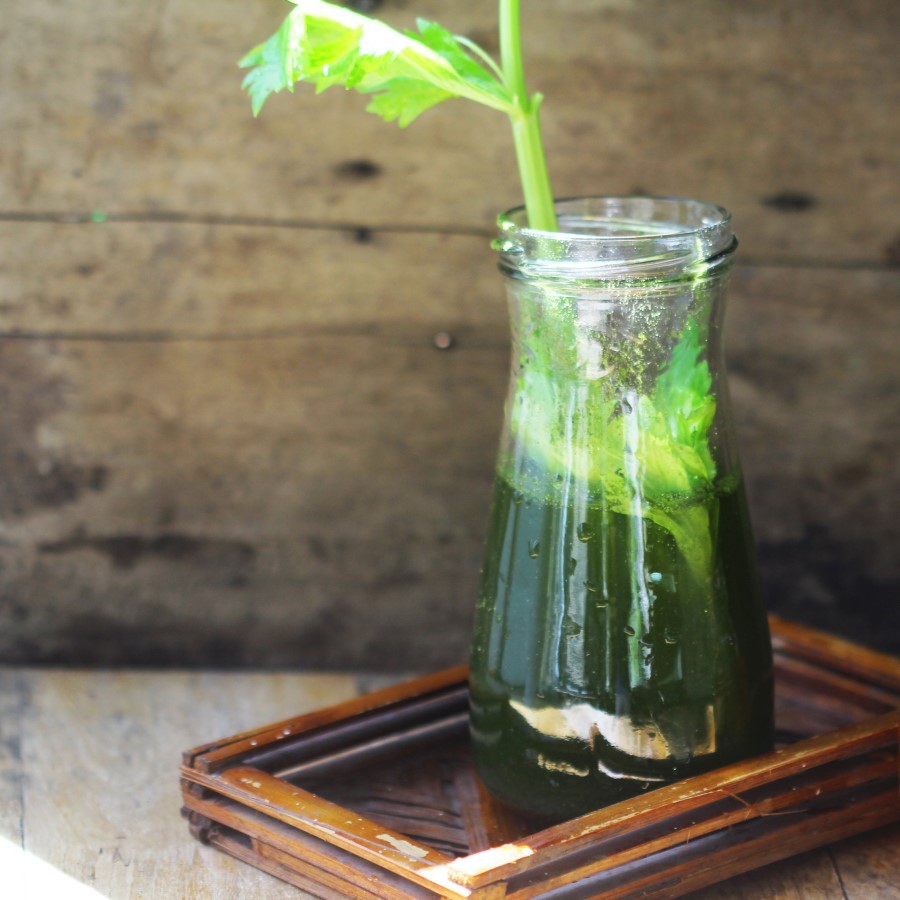 (Bán sỉ) Lon Bột cần tây nguyên chất Dalahouse 150g - NPP Tâm Dược Thảo | BigBuy360 - bigbuy360.vn