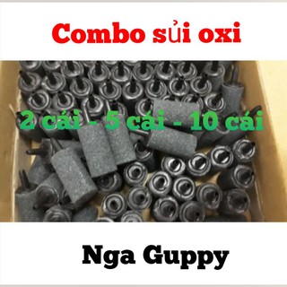 Sủi oxi cho hồ cá - Nga Guppy